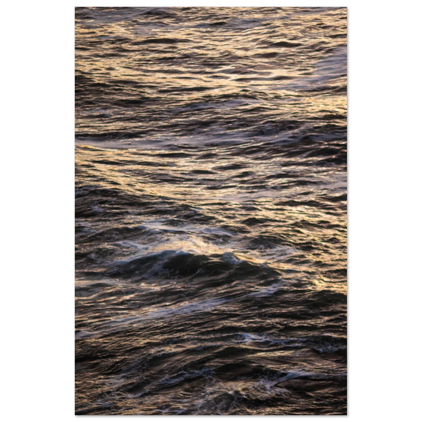 f55a6818-b652-4487-bec0-0839c1ee723b