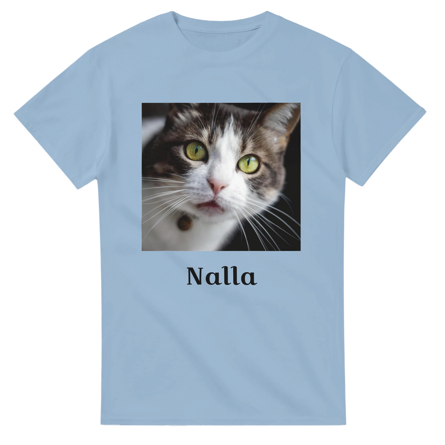 1a847205-7799-4366-b443-ca005583f7f3