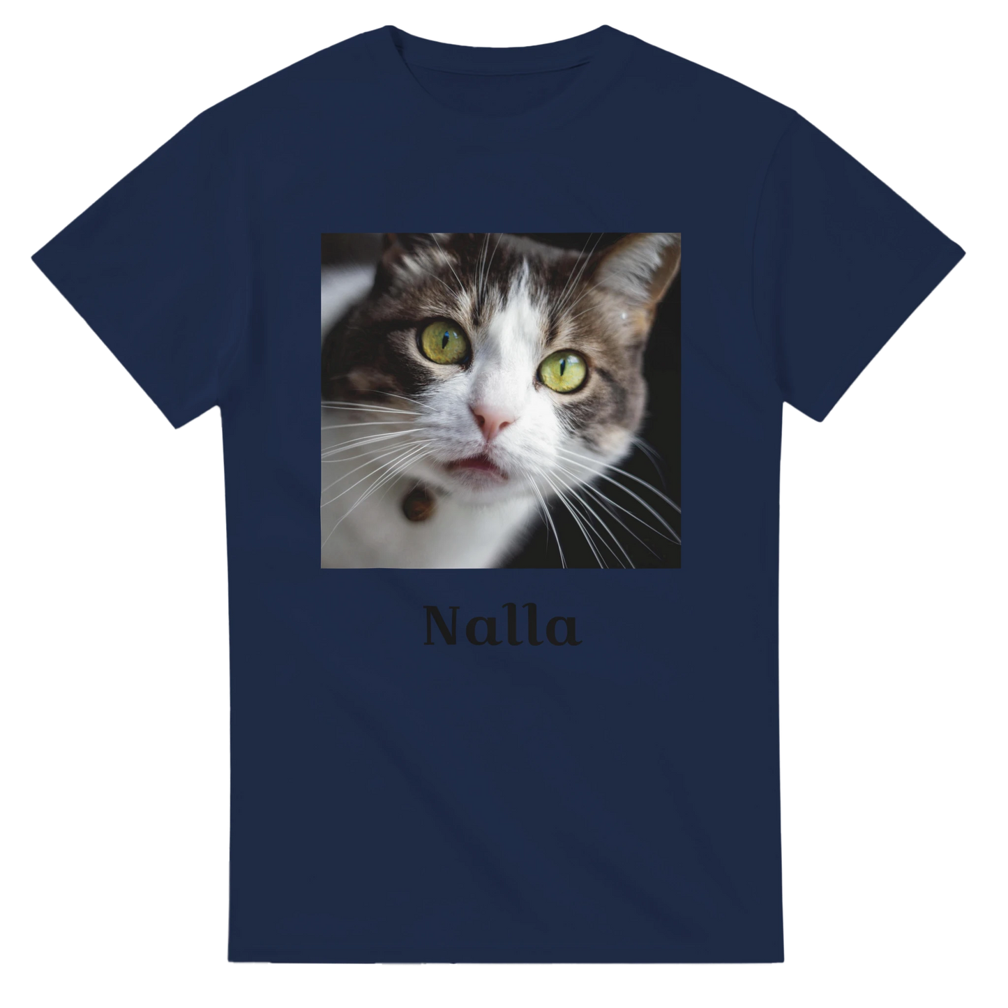 2c57a027-b6bd-4e1a-9d1c-72b0b0c34f26