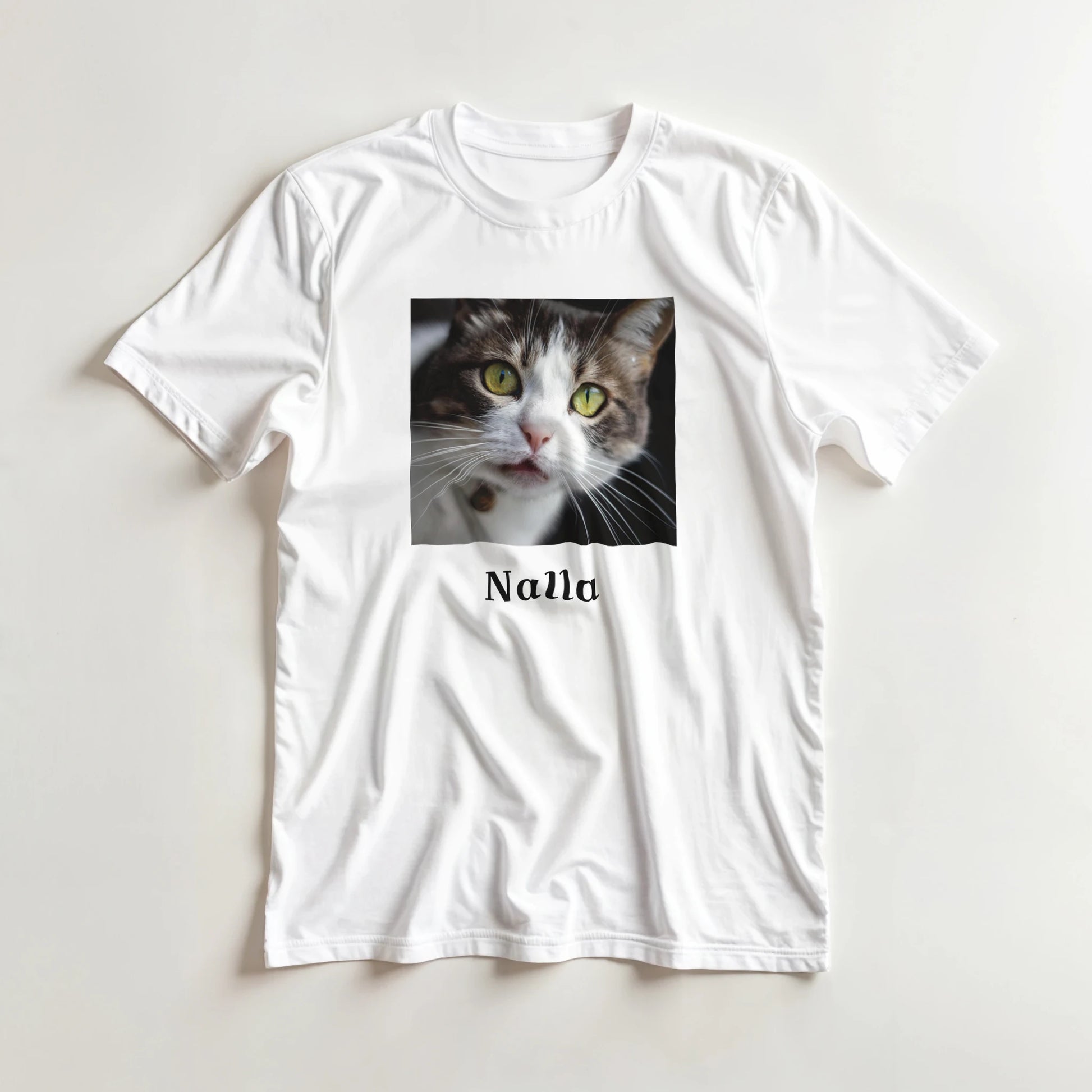 39130a5d-032a-4ac3-8317-03fda492487c