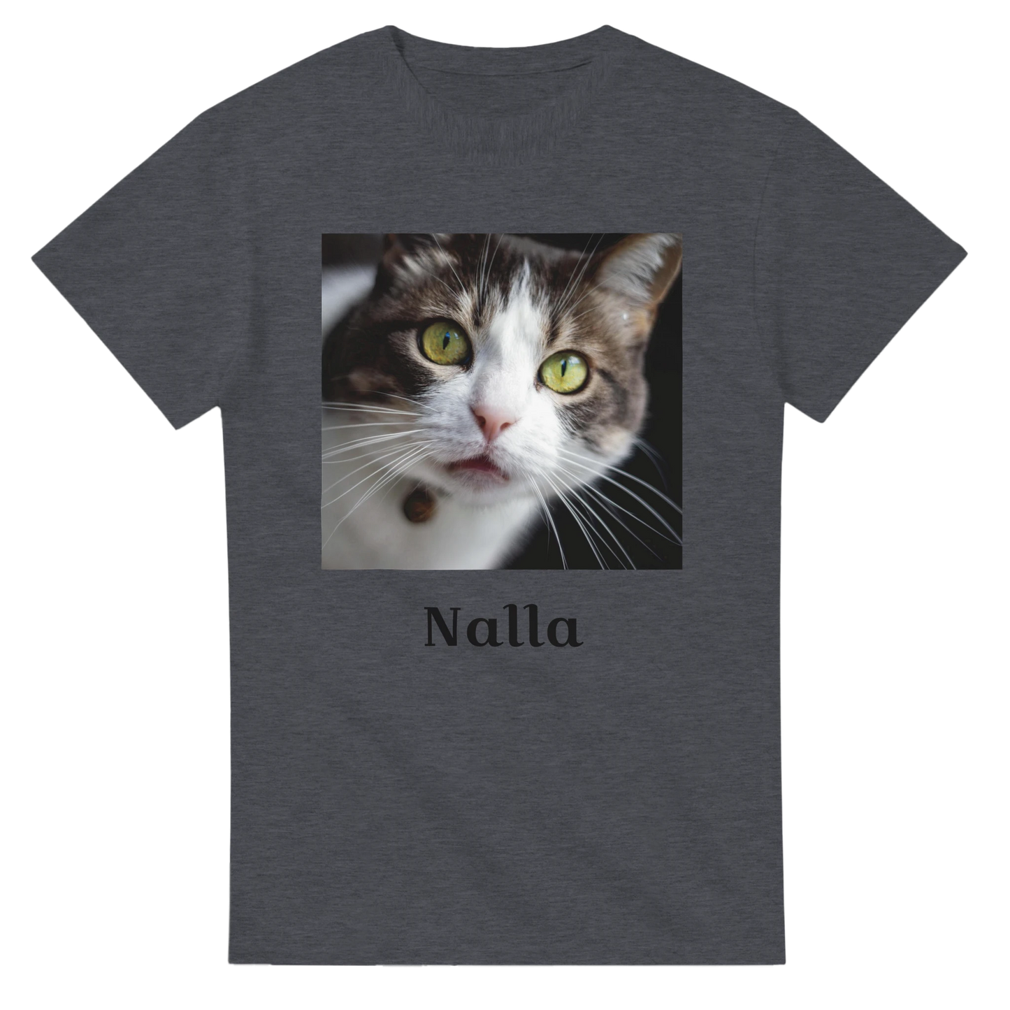 3c85753f-7cc8-4095-b329-fdf1e7a083ba