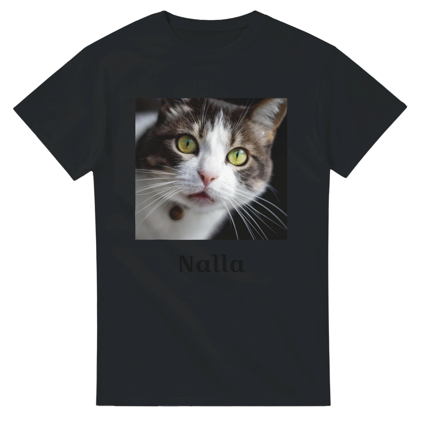 6e9913ea-dc80-49ed-9520-753c6f1391a5