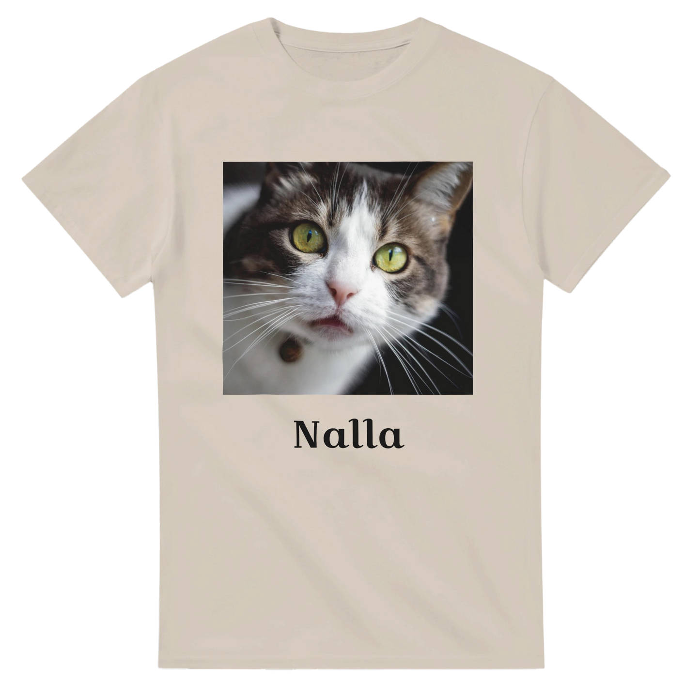 d31cb8e3-f3f5-4961-94fb-6bedcdcfec9a