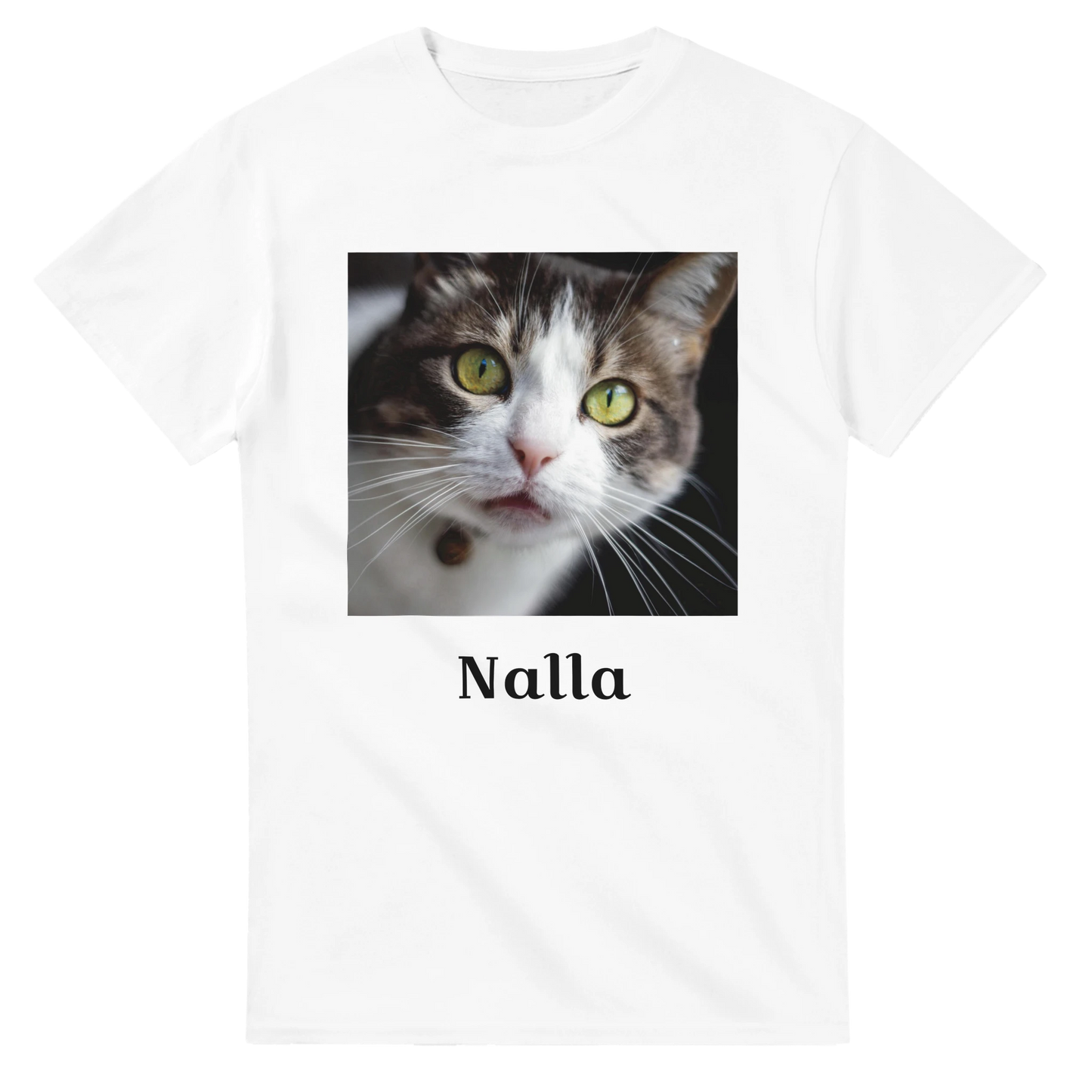 eb25960b-b30b-45b9-bf78-13c8abff9aa6