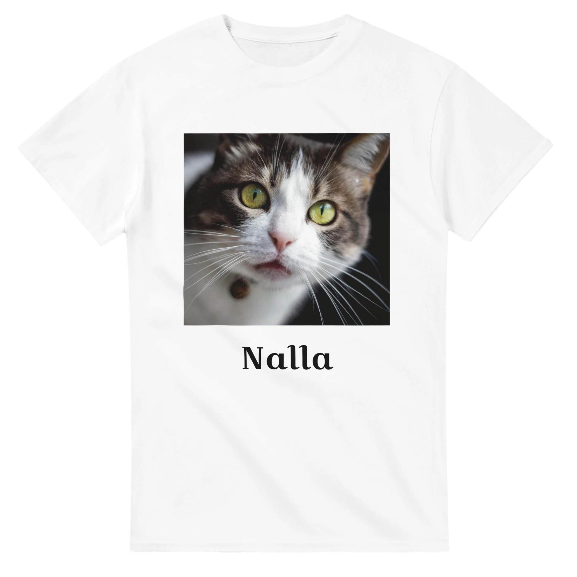 eb25960b-b30b-45b9-bf78-13c8abff9aa6