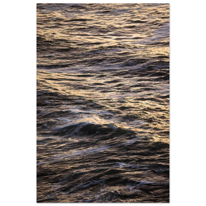 f55a6818-b652-4487-bec0-0839c1ee723b
